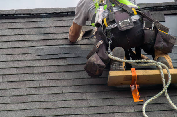 Best Roof Gutter Cleaning  in Wright, WY